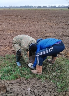 Республиканский субботник