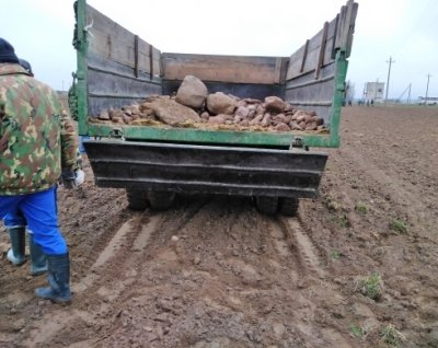 Республиканский субботник