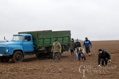 Республиканский субботник