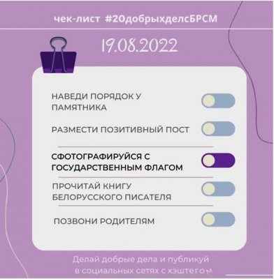 Челлендж #20добрыхделсБРСМ. Восьмое дело