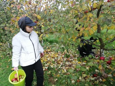 Працоўны дэсант “Зробім разам”