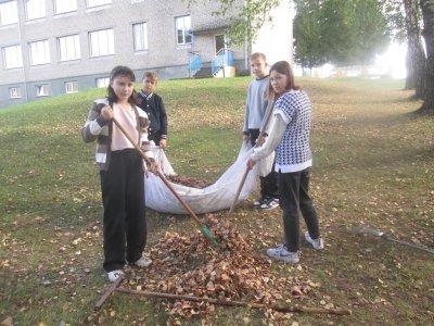 Трудовая акция  "Жёлтый лист"