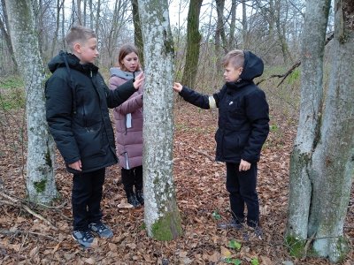 Экскурсию в Вердомичский парк