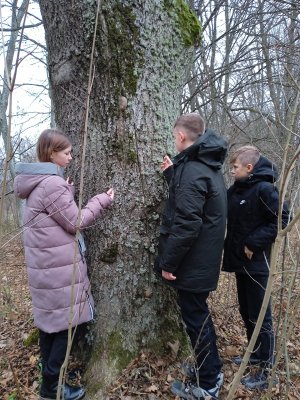 Экскурсию в Вердомичский парк